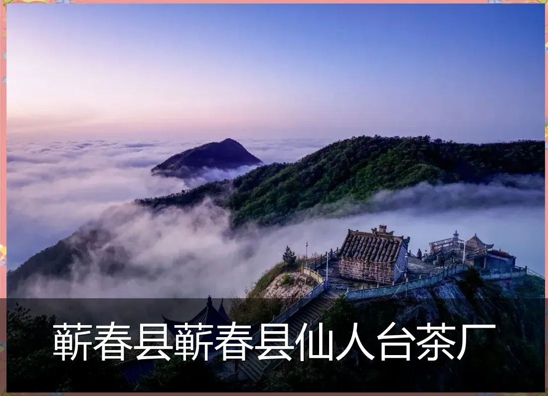 蕲春县蕲春县仙人台茶厂