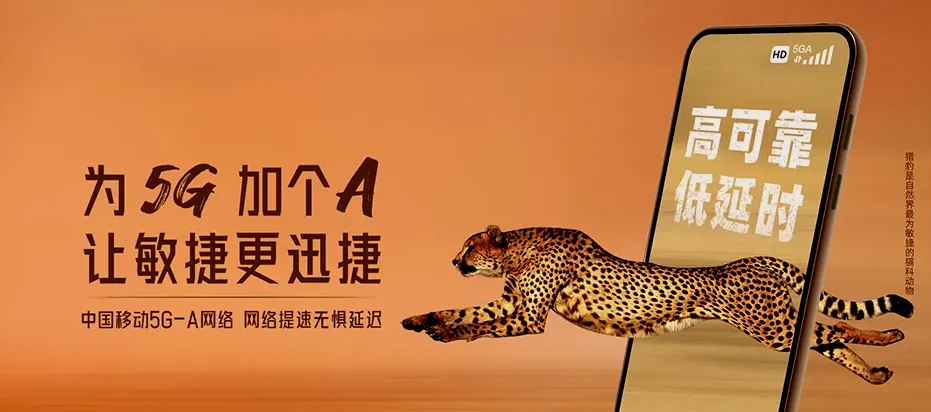 蕲春县蕲春县铁路经济开发区 移动宽带